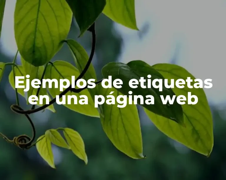 Ejemplos de etiquetas en una página web