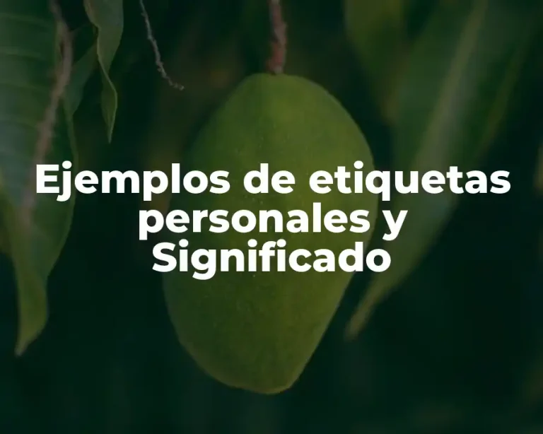 Ejemplos de etiquetas personales y Significado