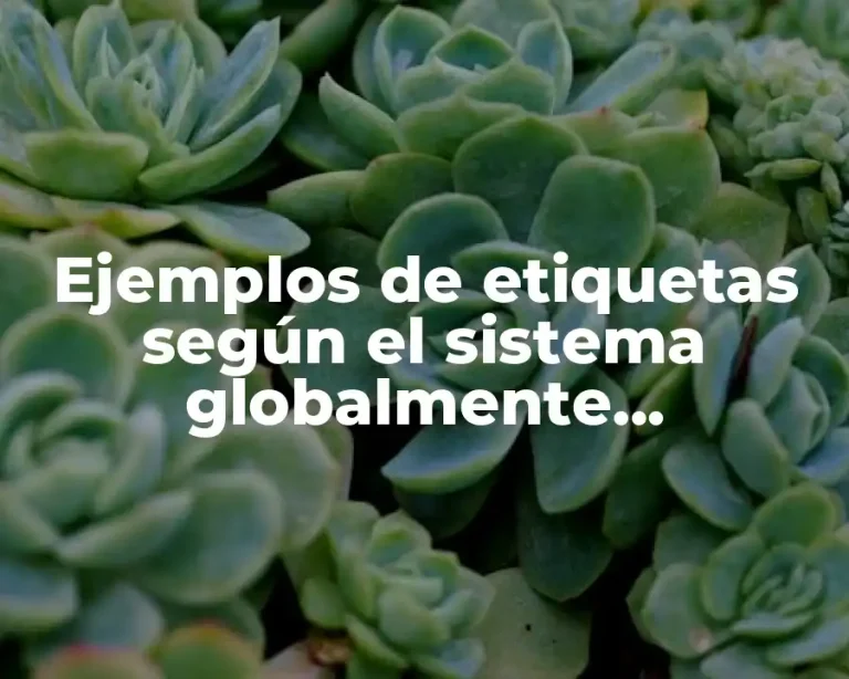 Ejemplos de etiquetas según el sistema globalmente armonizado