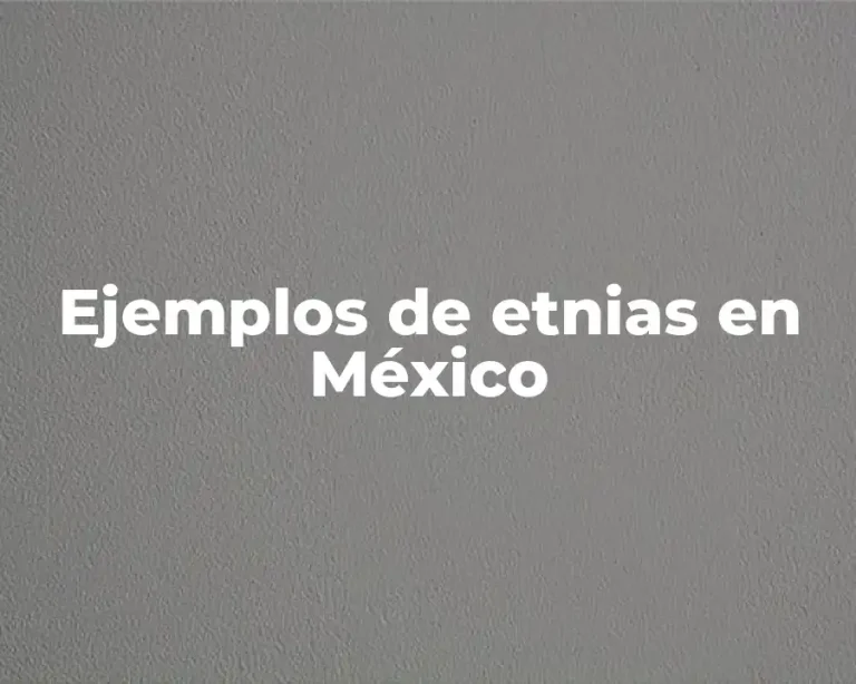 Ejemplos de etnias en México