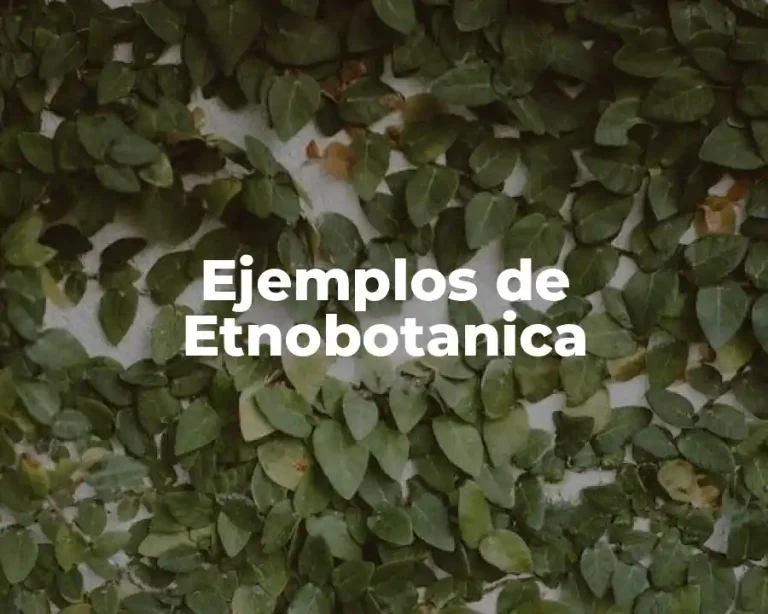 Ejemplos de Etnobotanica