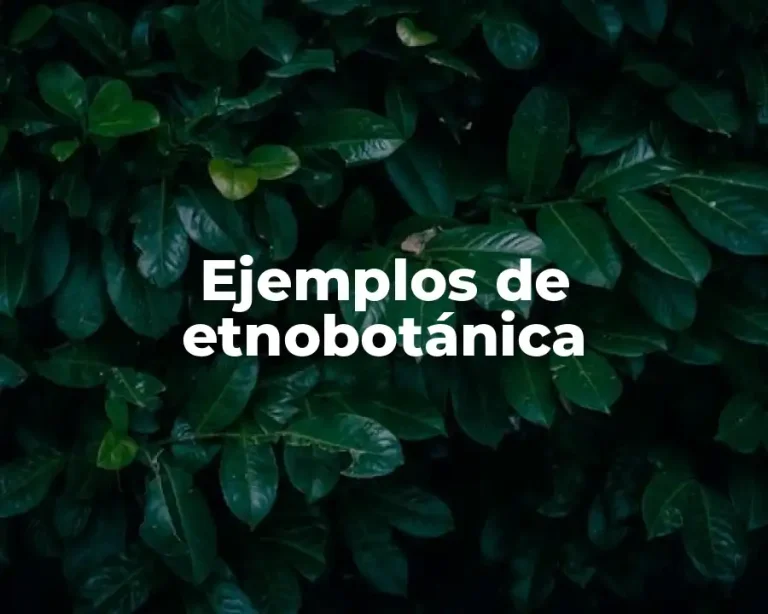 Ejemplos de etnobotánica