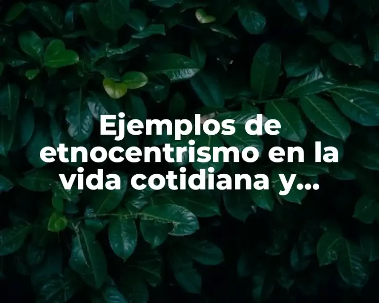 Ejemplos de etnocentrismo en la vida cotidiana y Significado