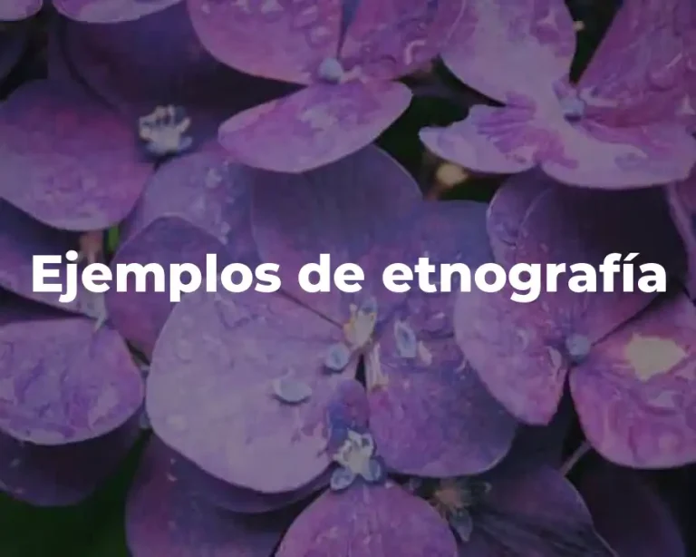 Ejemplos de etnografía