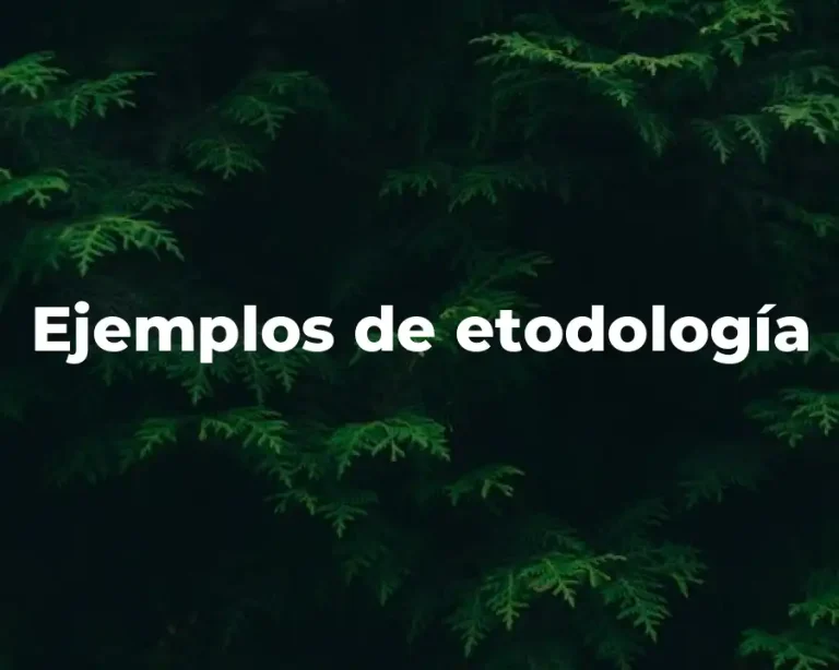 Ejemplos de etodología