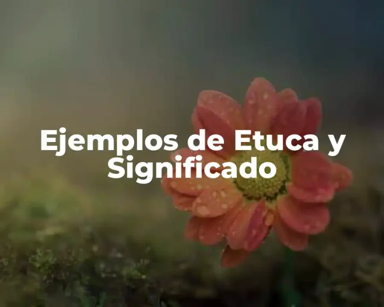 Ejemplos de Etuca y Significado