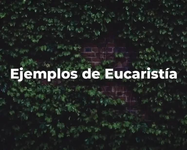 Ejemplos de Eucaristía