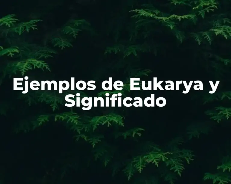 Ejemplos de Eukarya y Significado