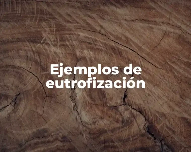Ejemplos de eutrofización
