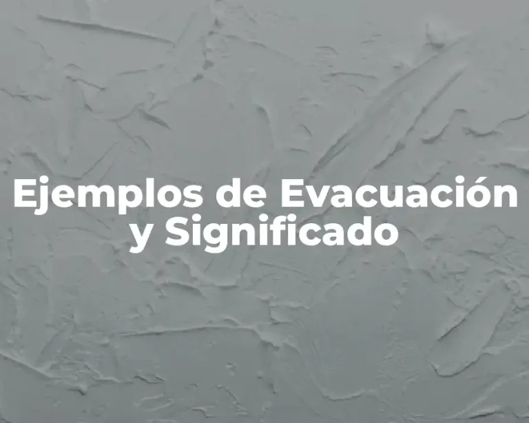 Ejemplos de Evacuación y Significado