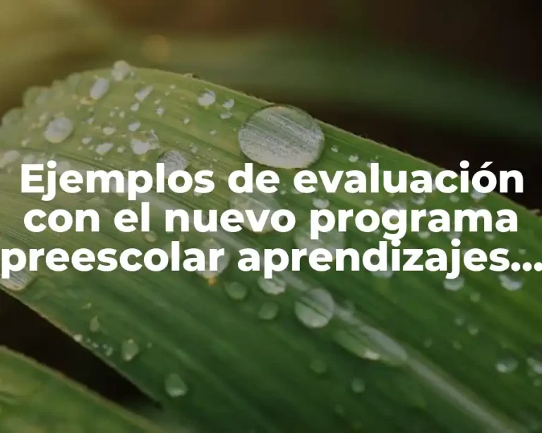 Ejemplos de evaluación con el nuevo programa preescolar aprendizajes clave y Significado