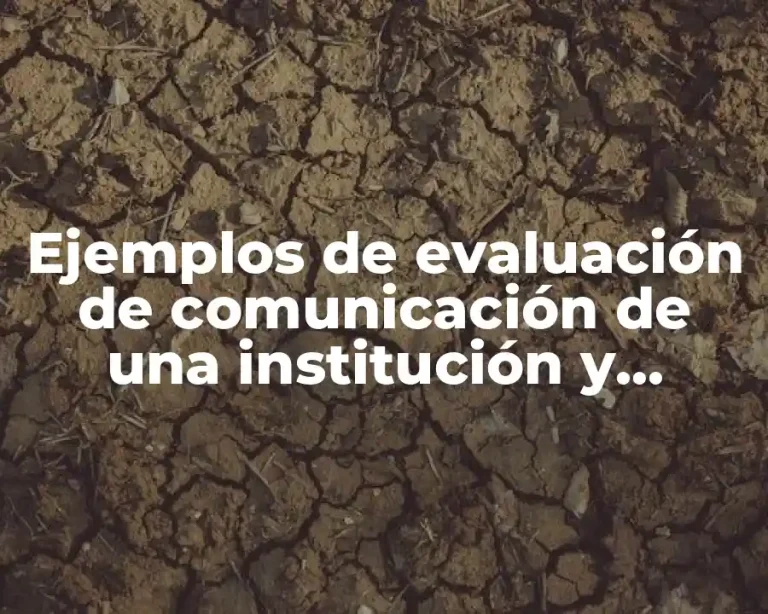 Ejemplos de evaluación de comunicación de una institución y Significado