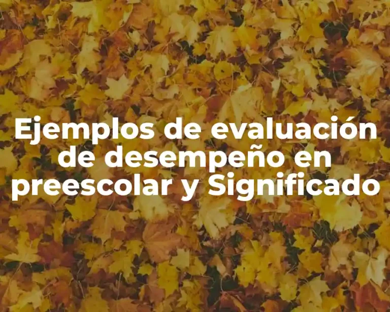 Ejemplos de evaluación de desempeño en preescolar y Significado