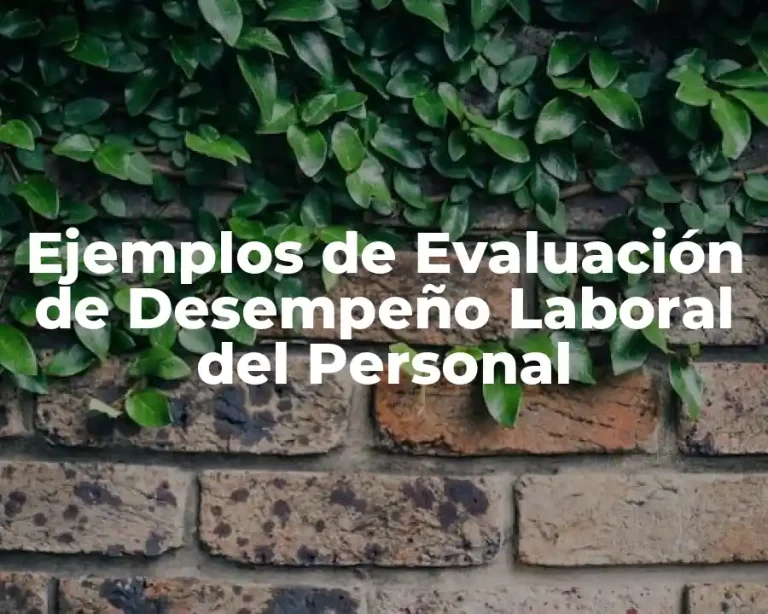 Ejemplos de Evaluación de Desempeño Laboral del Personal