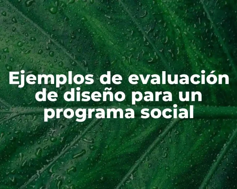 Ejemplos de evaluación de diseño para un programa social