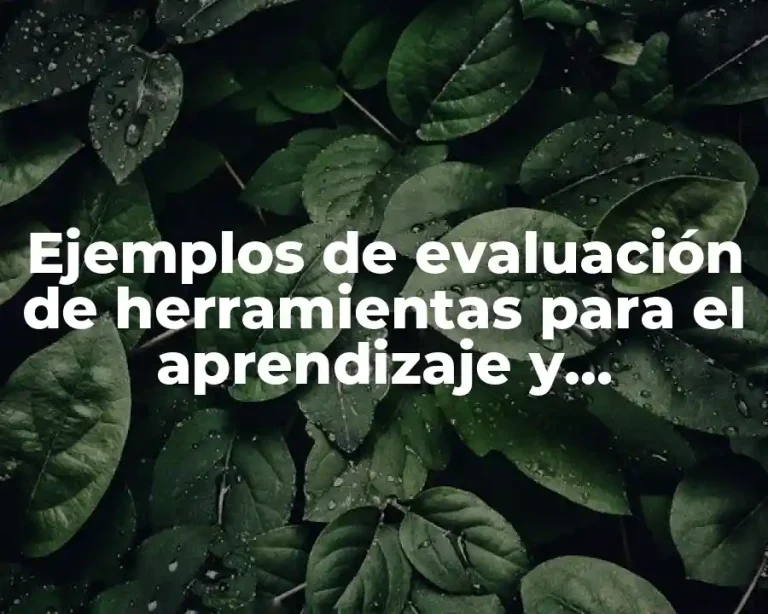Ejemplos de evaluación de herramientas para el aprendizaje y Significado