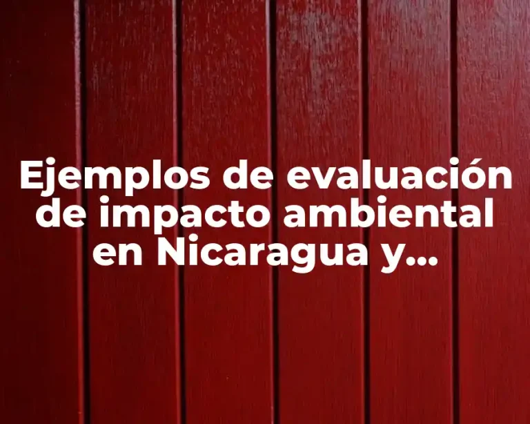 Ejemplos de evaluación de impacto ambiental en Nicaragua y Significado
