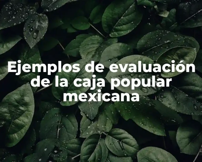 Ejemplos de evaluación de la caja popular mexicana