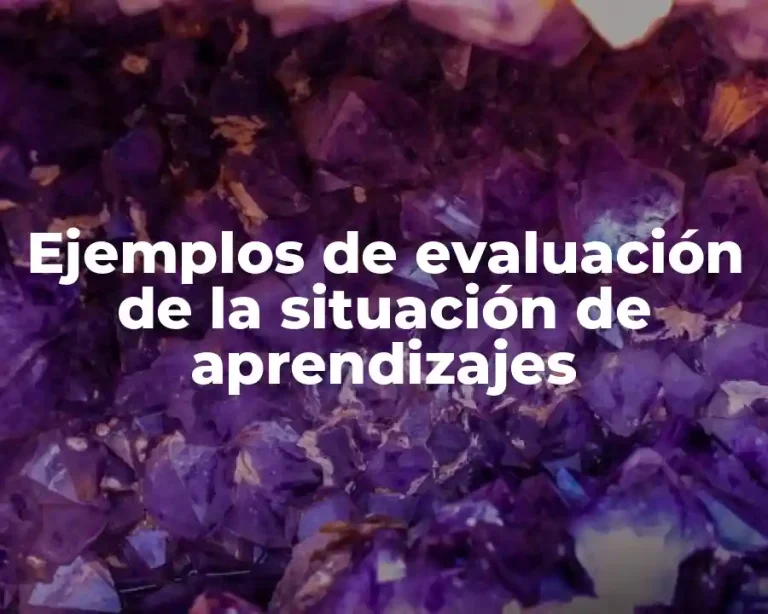 Ejemplos de evaluación de la situación de aprendizajes