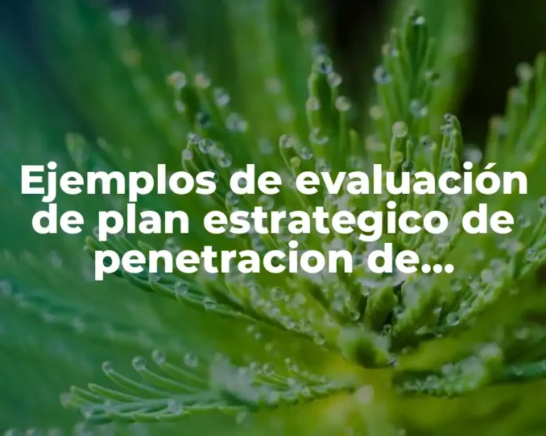 Ejemplos de evaluación de plan estrategico de penetracion de mercado