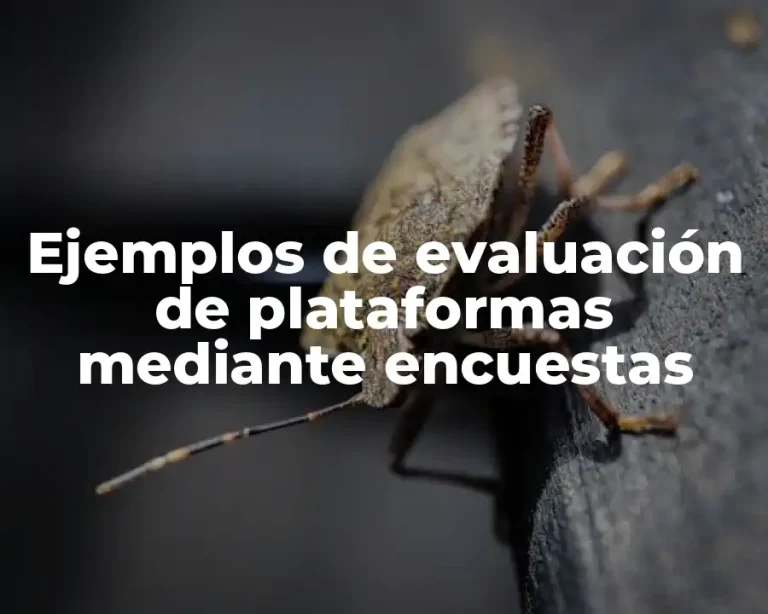 Ejemplos de evaluación de plataformas mediante encuestas
