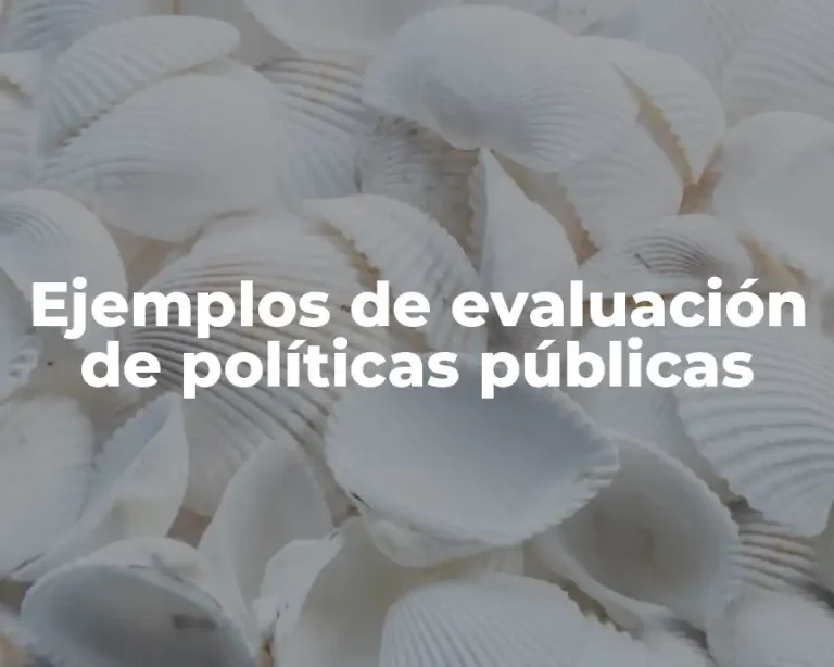 Ejemplos de evaluación de políticas públicas
