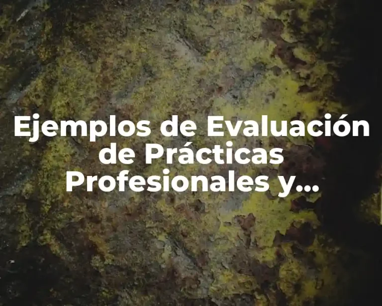 Ejemplos de Evaluación de Prácticas Profesionales y Significado