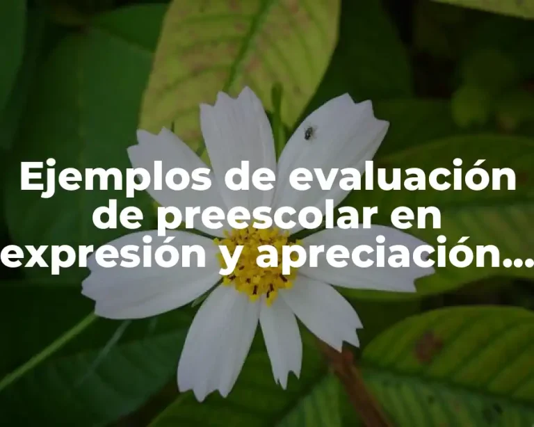 Ejemplos de evaluación de preescolar en expresión y apreciación artística