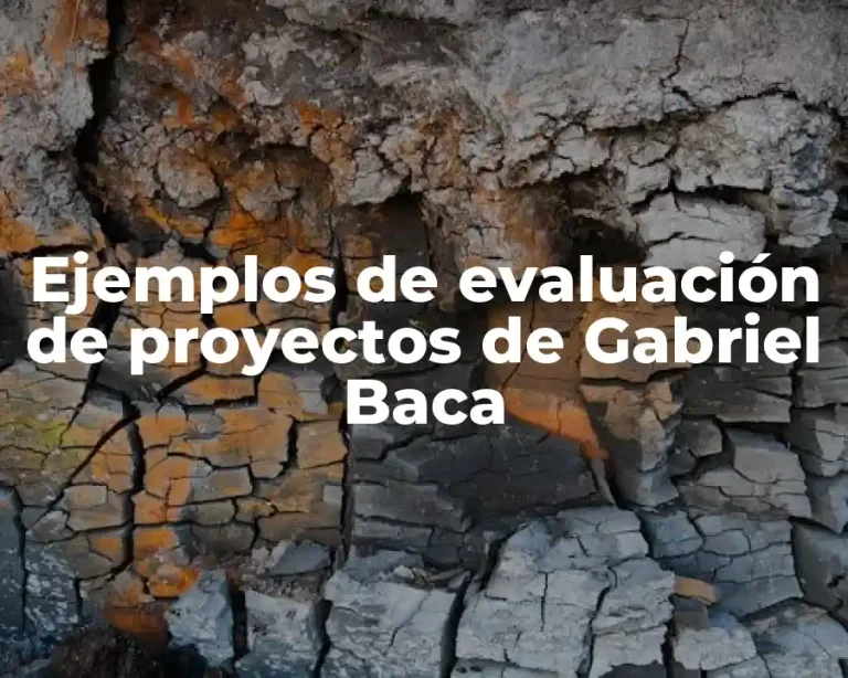 Ejemplos de evaluación de proyectos de Gabriel Baca
