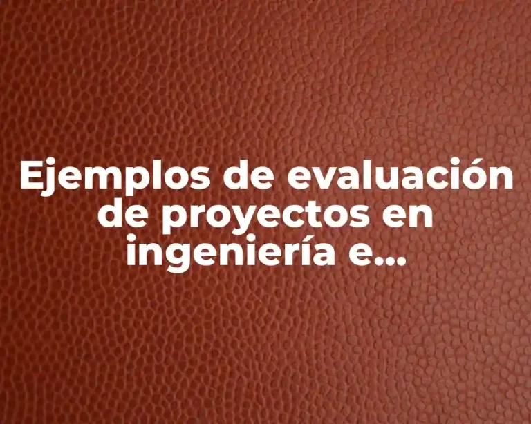 Ejemplos de evaluación de proyectos en ingeniería e infraestructura y Significado