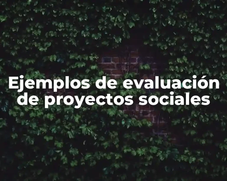 Ejemplos de evaluación de proyectos sociales