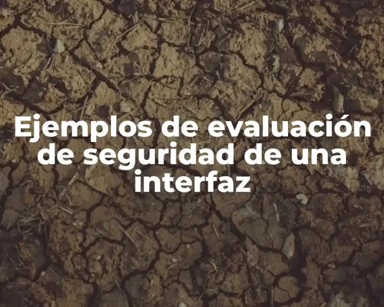 Ejemplos de evaluación de seguridad de una interfaz