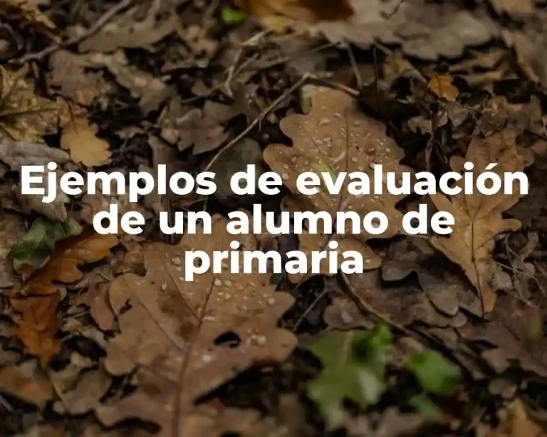 Ejemplos de evaluación de un alumno de primaria