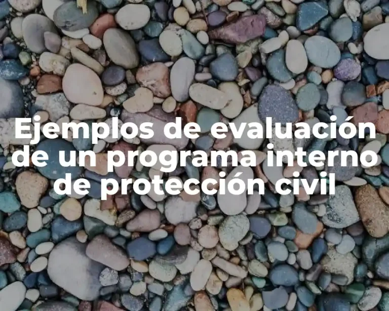 Ejemplos de evaluación de un programa interno de protección civil