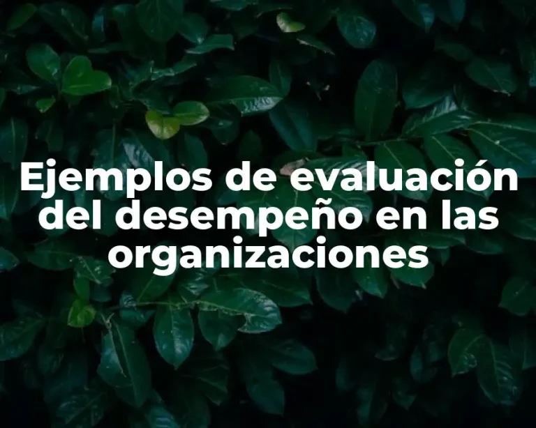 Ejemplos de evaluación del desempeño en las organizaciones