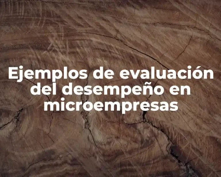 Ejemplos de evaluación del desempeño en microempresas