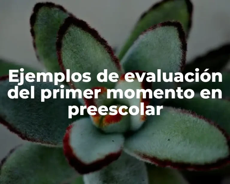 Ejemplos de evaluación del primer momento en preescolar