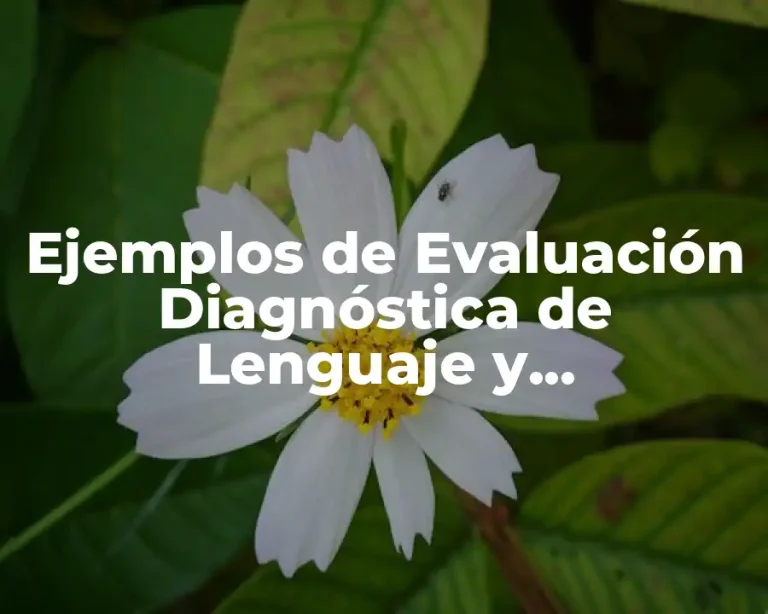 Ejemplos de Evaluación Diagnóstica de Lenguaje y Comunicación