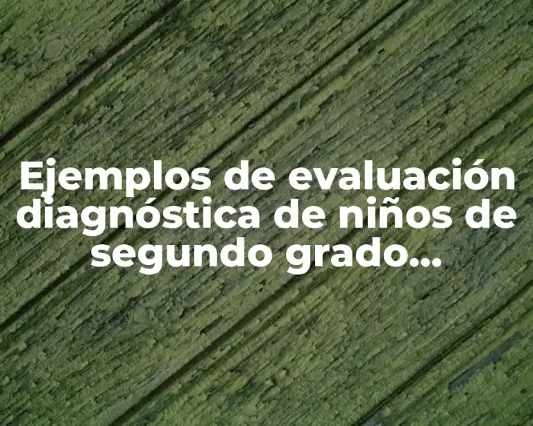Ejemplos de evaluación diagnóstica de niños de segundo grado preescolar