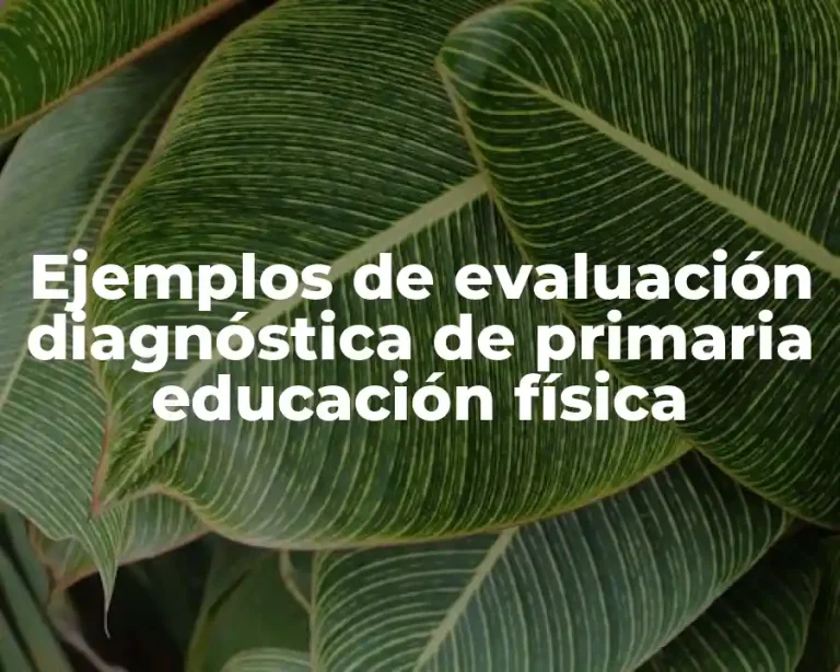 Ejemplos de evaluación diagnóstica de primaria educación física