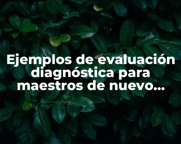 Ejemplos de evaluación diagnóstica para maestros de nuevo ingreso