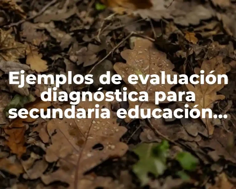 Ejemplos de evaluación diagnóstica para secundaria educación física
