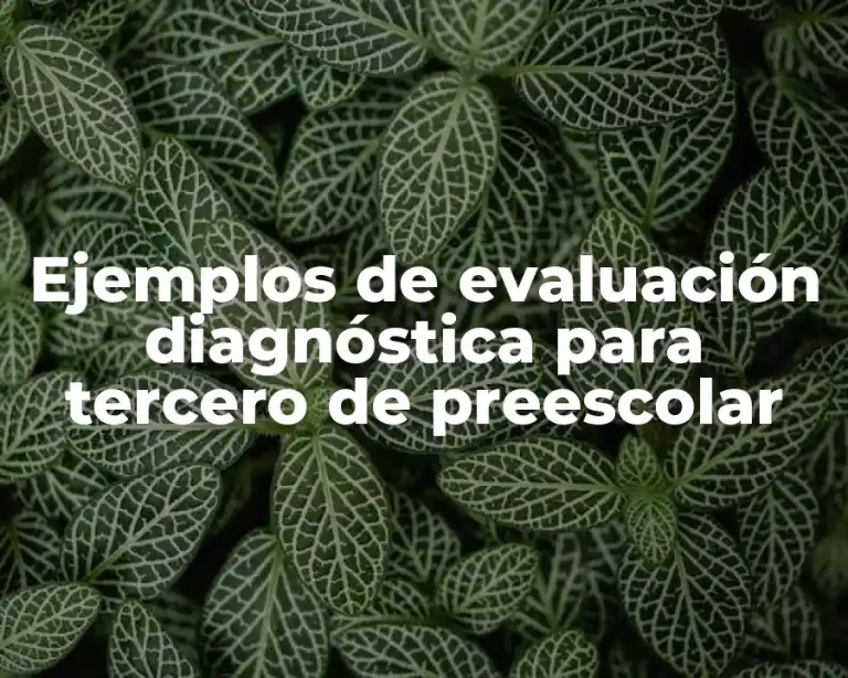 Ejemplos de evaluación diagnóstica para tercero de preescolar