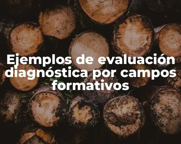 Ejemplos de evaluación diagnóstica por campos formativos