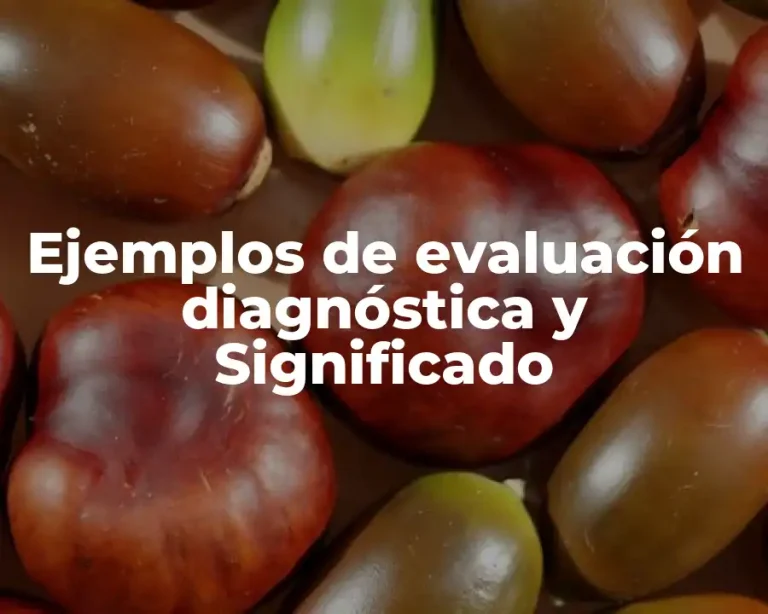 Ejemplos de evaluación diagnóstica y Significado
