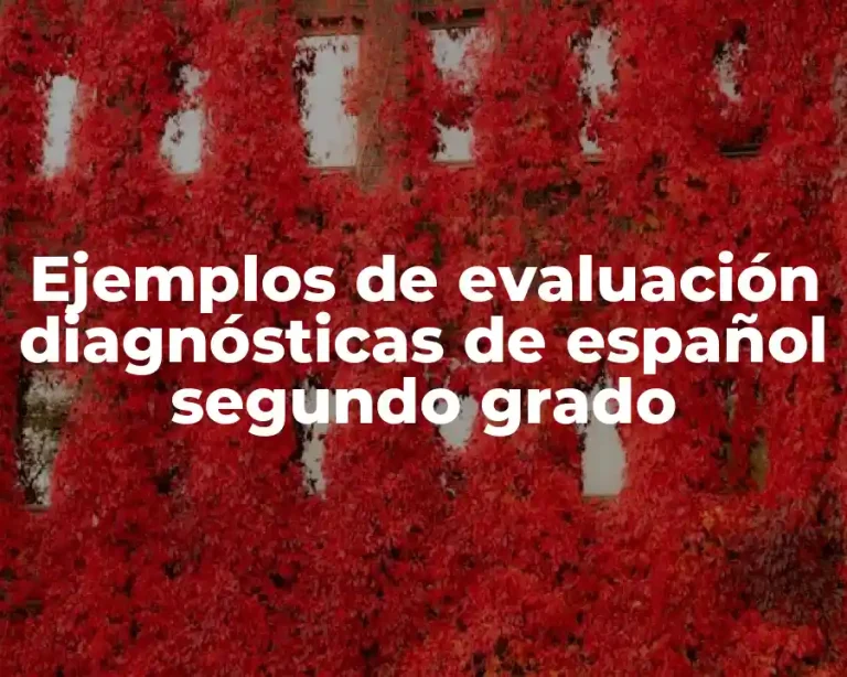 Ejemplos de evaluación diagnósticas de español segundo grado
