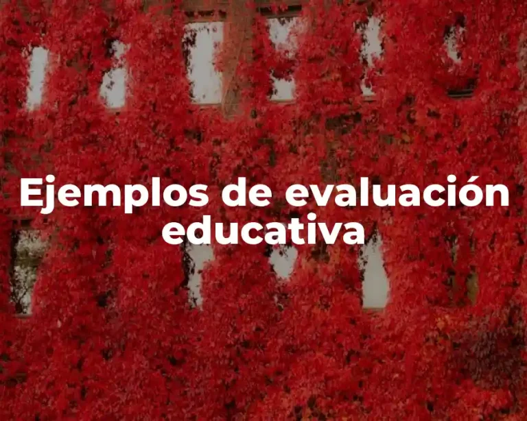 Ejemplos de evaluación educativa