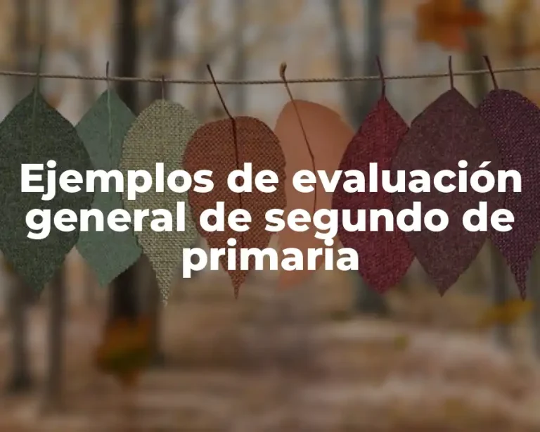 Ejemplos de evaluación general de segundo de primaria