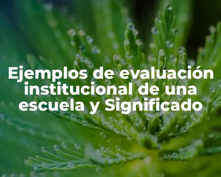 Ejemplos de evaluación institucional de una escuela y Significado
