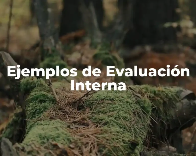 Ejemplos de Evaluación Interna